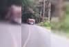 ਚਲਦੀ ਕਾਰ ‘ਤੇ ਚੜ੍ਹਿਆ ਹਾਥੀ, ਵੀਡੀਓ ਵਾਇਰਲ