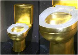 ਸੋਨੇ ਦਾ ਟੌਇਲਟ, ਜੜ੍ਹੇ ਨੇ ਹੀਰੇ, ਕੀਮਤ ਉਡਾ ਦਵੇਗੀ ਹੋਸ਼