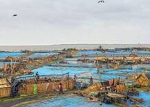 ‘ਬੁਲਬੁਲ’ ਦਾ 4.06 ਲੱਖ ਪਰਿਵਾਰਾਂ \'ਤੇ ਕਹਿਰ, ਰੁੱਖ ਪੁੱਟ ਸੁੱਟੇ, ਦਰਜਨ ਤੋਂ ਵੱਧ ਮੌਤਾਂ