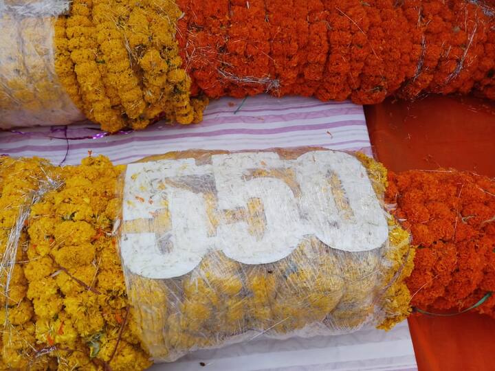 550 ਕਿਲੋ ਦਾ ਹਾਰ।