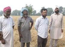 ਸਰਕਾਰ ਨੇ ਮੁਕੱਦਮੇ ਠੋਕਣ \'ਤੇ ਲਾਇਆ ਜ਼ੋਰ, ਕਿਸਾਨਾਂ ਨੂੰ ਮੁਹੱਈਆ ਨਹੀਂ ਕਰਵਾਈ ਮਸ਼ੀਨਰੀ