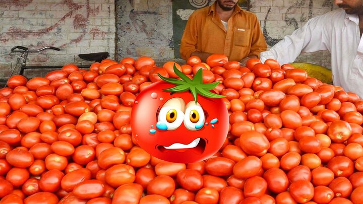 Tomatoes selling at Rs 300 per kg in Pakistan; country seeks help from Iran ਪਾਕਿਸਤਾਨ ‘ਚ ਟਮਾਟਰ ‘ਤੇ ਟ੍ਰੈਜਡੀ, 300 ਰੁਪਏ ਕਿਲੋ ਤਕ ਪਹੁੰਚੀ ਕੀਮਤ