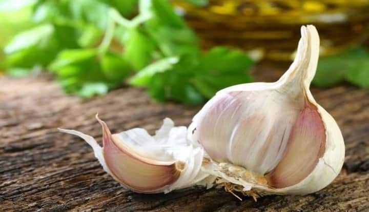 ਜੇ ਤੁਸੀਂ ਲਸਣ ਖਾਣ ਤੋਂ ਬਾਅਦ ਮੂੰਹ ਵਿਚੋਂ ਆਉਣ ਵਾਲੀ ਇਸ ਦੀ ਤਿੱਖੀ ਬਦਬੂ ਤੋਂ ਵੀ ਛੁਟਕਾਰਾ ਪਾਉਣਾ ਹੈ, ਤਾਂ ਆਮ ਤੌਰ 'ਤੇ ਕੌਫੀ, ਸ਼ਹਿਦ, ਦਹੀਂ, ਦੁੱਧ ਜਾਂ ਲੌਂਗ ਖਾਣ ਦੀ ਸਲਾਹ ਦਿੱਤੀ ਜਾਂਦੀ ਹੈ. ਪਰ ਕੁਝ ਮਾਹਰ ਮੰਨਦੇ ਹਨ ਕਿ ਪਾਰਸਲੇ ਖਾਧੇ ਜਾ ਸਕਦੇ ਹਨ, ਕਿਉਂਕਿ ਇਸ ਵਿੱਚ ਪਾਇਆ ਗਿਆ ਕਲੋਰੋਫਿਲ ਲਸਣ ਦੀ ਗੰਧ ਨੂੰ ਘਟਾਉਣ ਵਿੱਚ ਕਾਰਗਰ ਹੁੰਦਾ ਹੈ। ਤੁਸੀਂ ਪੇਪਰਮਿੰਟ ਜਾਂ ਚਿੰਗਮ ਵੀ ਅਜ਼ਮਾ ਸਕਦੇ ਹੋ। ਇਲਾਇਚੀ ਵੀ ਅਸਰਦਾਰ ਰਹੇਗੀ।