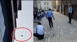 ਅਚਾਨਕ ਸੜਕਾਂ 'ਤੇ ਹੋਈ ਨੋਟਾਂ ਦੀ ਬਾਰਸ਼, ਲੋਕਾਂ ਦੀ ਮੌਜਾਂ, ਵੇਖੋ ਵੀਡੀਓ