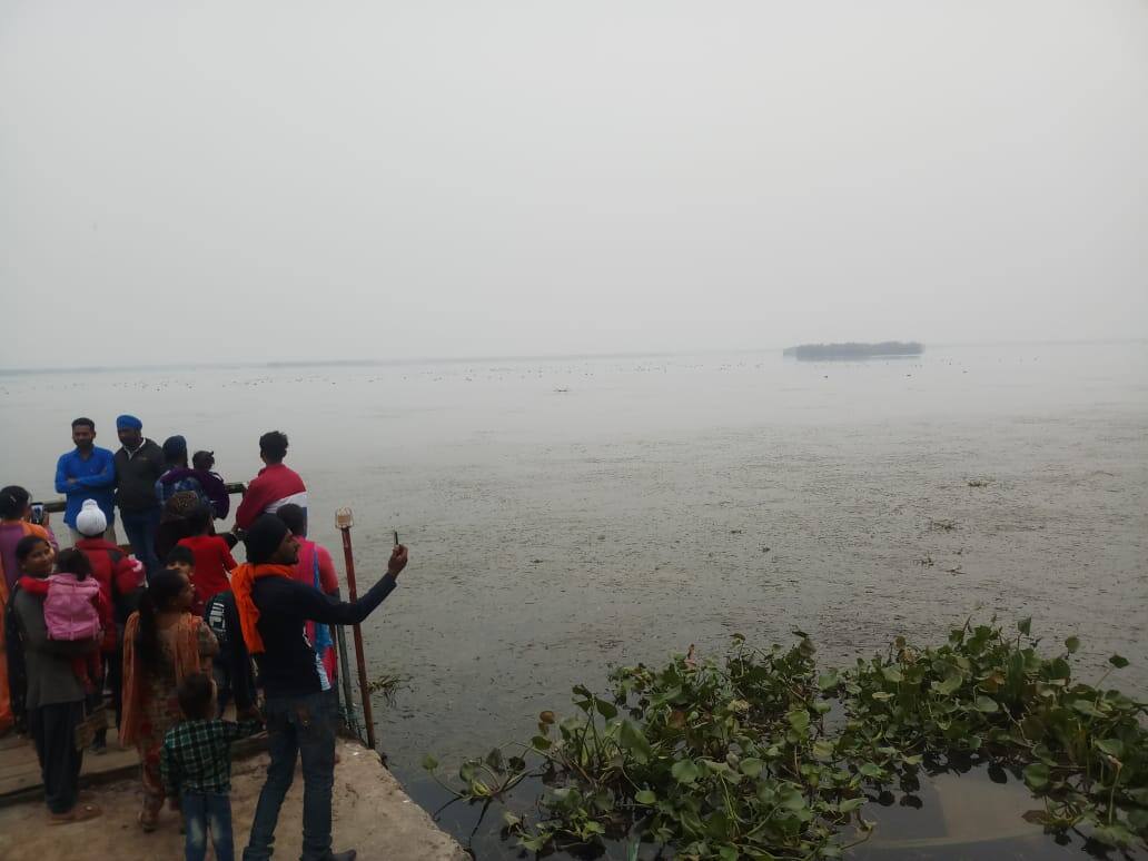 birds in harike pattan ਹਰੀਕੇ ਬਰਡ ਸੈਂਚਰੀ 'ਚ ਅਲਰਟ, ਲੱਖਾਂ ਦੀ ਗਿਣਤੀ ਵਿੱਚ ਆਉਂਦੇ ਪਰਵਾਸੀ ਪੰਛੀ