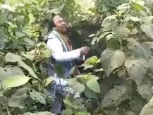 ਪੱਛਮੀ ਬੰਗਾਲ ਉਪ ਚੋਣਾਂ: ਬੀਜੇਪੀ ਉਮੀਦਵਾਰ ਦਾ ਕੁਟਾਪਾ, ਝਾੜੀਆਂ 'ਚ ਧੱਕਾ-ਮੁੱਕੀ