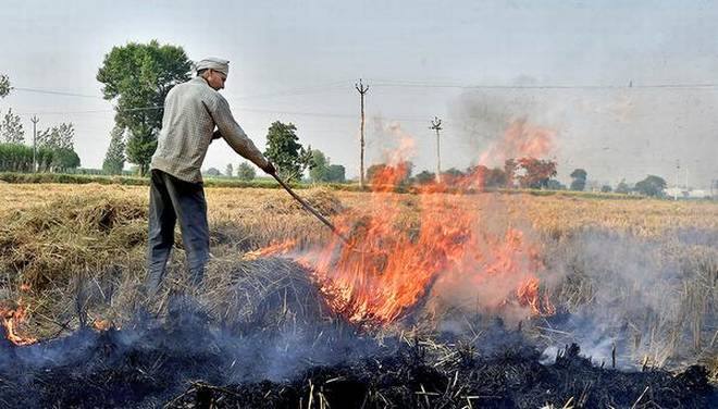 Stubble burning in UP, Punjab, Haryana reduced by 19% since 2018 ਆਖਰ ਲੋਕ ਹੋਏ ਸਿਆਣੇ, ਇਸ ਵਾਰ ਸੜੀ ਘੱਟ ਪਰਾਲੀ