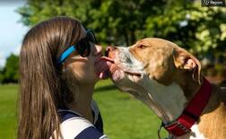 ਹੈਰਤਅੰਗੇਜ਼! ਕੁੱਤੇ ਨੇ ਮਾਲਕ ‘ਤੇ ਜਤਾਇਆ ਪਿਆਰ ਤਾਂ ਹੋ ਗਈ ਮੌਤ, ਜਾਣੋ ਪੂਰਾ ਸੱਚ