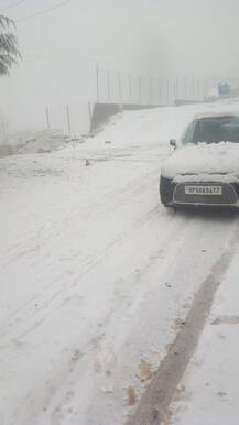 ਹਿਮਾਚਲ 'ਚ ਬਰਫ ਹੀ ਬਰਫ, ਚਾਰ ਜ਼ਿਲ੍ਹਿਆਂ 'ਚ ਯੈਲੋ ਅਲਰਟ