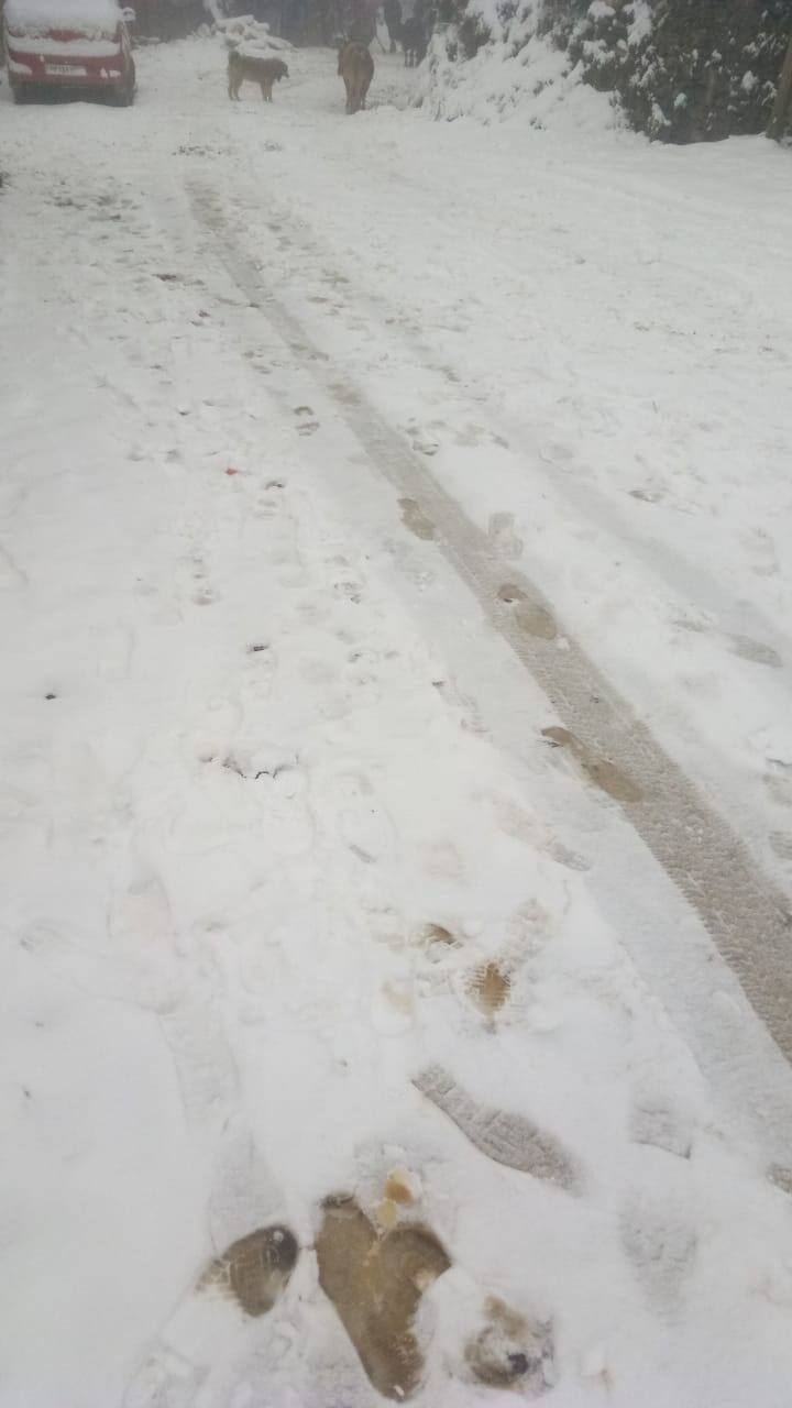 ਅੱਜ ਸ਼ਿਮਲਾ, ਰੋਹੜੂ, ਕੁਫਰੀ ਨਾਰਕੰਡਾ ਵਿੱਚ ਬਰਫਬਾਰੀ ਹੋਈ। 