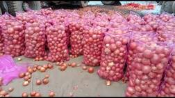 ਕੋਰੋਨਾ ਪੀਰੀਅਡ ‘ਚ ਕਿਸਾਨ ਪਰੇਸ਼ਾਨ, 100 ਰੁਪਏ ਕਿਲੋ ਵਿਕਣ ਵਾਲਾ ਪਿਆਜ਼ ਹੁਣ ਵਿਕ ਰਿਹਾ 2 ਤੋਂ 6 ਰੁਪਏ ਪ੍ਰਤੀ ਕਿਲੋ