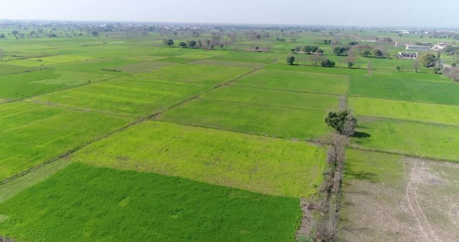 record fertilizer consumption in punjab ਬੰਜਰ ਹੋ ਰਿਹਾ ਪੰਜਾਬ! ਜ਼ਮੀਨਾਂ 'ਚ ਘੁਲ ਰਿਹਾ ਜ਼ਹਿਰ