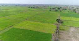 ਬੰਜਰ ਹੋ ਰਿਹਾ ਪੰਜਾਬ! ਜ਼ਮੀਨਾਂ 'ਚ ਘੁਲ ਰਿਹਾ ਜ਼ਹਿਰ