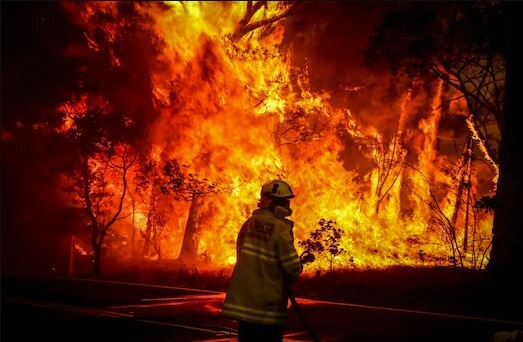 California Jungle Fire Nearly 11000 lightning bolts strike California igniting hundreds of trees California Jungle Fire: ਕੈਲੀਫੋਰਨੀਆ ਦੇ ਜੰਗਲਾਂ 'ਚ ਲੱਗੀ ਭਿਆਨਕ ਅੱਗ