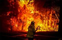 California Jungle Fire: ਕੈਲੀਫੋਰਨੀਆ ਦੇ ਜੰਗਲਾਂ 'ਚ ਲੱਗੀ ਭਿਆਨਕ ਅੱਗ