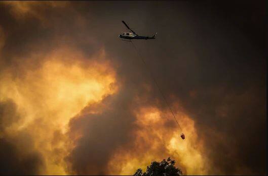 ਕਈ ਜੰਗਲੀ ਜਾਨਵਰਾਂ ਨੂੰ ਏਅਰ ਲਿਫਟ ਕਰ ਕੇ ਬਚਾਇਆ ਗਿਆ ਹੈ।