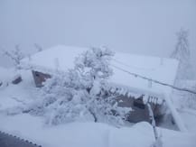 ਸ਼ਿਮਲਾ 'ਚ ਸੀਜ਼ਨ ਦਾ ਸਭ ਤੋਂ ਠੰਢਾ ਦਿਨ, ਟੁੱਟਾ 12 ਸਾਲਾਂ ਦਾ ਰਿਕਾਰਡ