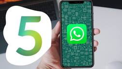 WhatsApp Storage Issues: ਹੁਣ ਸਟੋਰੇਜ਼ ਦੀ ਸਮੱਸਿਆ ਤੋਂ ਮਿਲੇਗਾ ਛੁਟਕਾਰਾ, WhatsApp ਲਿਆ ਰਿਹਾ ਇਹ ਖ਼ਾਸ ਫ਼ੀਚਰ