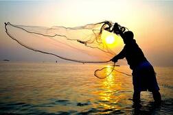 ਜਾਲ 'ਚ ਫਸੀਆਂ ਦੋ ਮੱਛੀਆਂ 'ਤੇ ਹੋ ਗਏ ਮਾਲੋਮਾਲ, ਕੀਮਤ ਜਾਣ ਤੁਸੀਂ ਵੀ ਹੋਵੋਗੇ ਹੈਰਾਨ