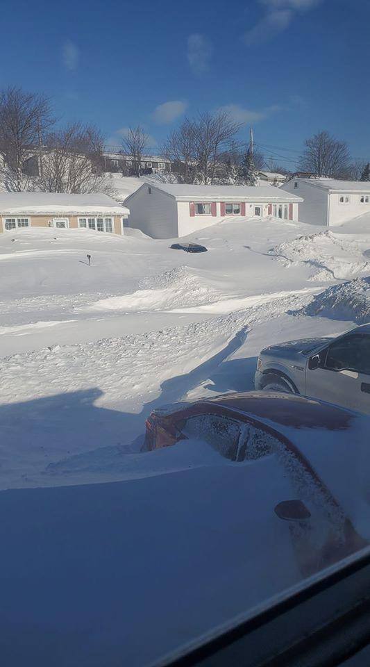 ਕੇਨੈਡਾ ਦੇ ਵੱਖ-ਵੱਖ ਸ਼ਹਿਰਾਂ 'ਚ ਅਜਿਹੀਆਂ ਸਥਿਤੀਆਂ ਬਣੀਆਂ ਹੋਈਆਂ ਹਨ।