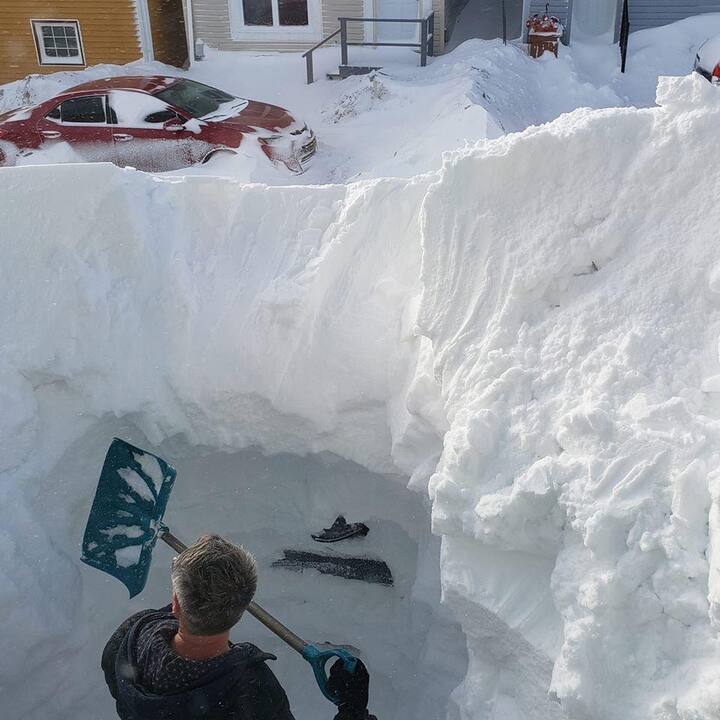 ਕੁਦਰਤੀ ਸ੍ਰੋਤ ਮੰਤਰੀ ਸੀਮਸ ਓਰਿਗਨ ਨੇ ਇਹ ਦਾਅਵਾ ਕੀਤਾ ਹੈ ਕਿ ਸਰਕਾਰ ਵੱਲੋਂ ਪਹਿਲਾਂ ਹੀ ਸਰੋਤਿਆਂ ਨੂੰ ਲਾਉਣ ਦਾ ਕੰਮ ਜਾਰੀ ਹੈ।