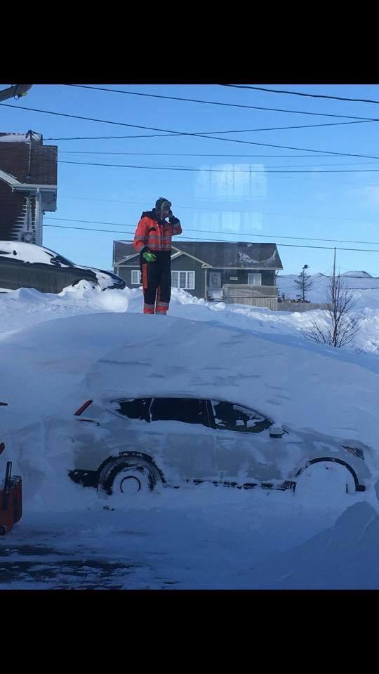 ਨਿਊਫਾਉਂਡਲੈਂਡ ਤੇ ਲੈਬ੍ਰਾਡੋਰ ਪ੍ਰੀਮੀਅਰ ਡਵਾਇਟ ਬਾਲ ਨੇ ਸਰਕਾਰ ਨੂੰ ਕੇਨੈਡਾ ਦੀ ਫੌਜ ਨੂੰ ਮਦਦ ਲਈ ਭੇਜਣ ਦੀ ਗੁਹਾਰ ਲਾਈ ਸੀ ਤਾਂ ਜੋ ਠੰਡ ਤੋਂ ਪ੍ਰਭਾਵਤ ਖੇਤਰਾਂ ਨੂੰ ਕੁਝ ਰਾਹਤ ਪਹੁੰਚਾਈ ਜਾ ਸਕੇ।