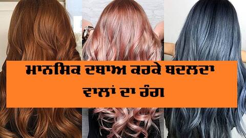 ਹੈਰਾਨ ਕਰਨ ਵਾਲਾ ਖੁਲਾਸਾ, ਮਾਨਸਿਕ ਦਬਾਅ ਕਰਕੇ ਬਦਲਦਾ ਵਾਲਾਂ ਦਾ ਰੰਗ