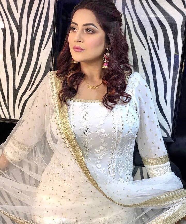 ਇਸ ਤੋਂ ਬਾਅਦ ਸ਼ਹਿਨਾਜ਼ ਫੇਰ ਸੁਰਖੀਆਂ 'ਚ ਆਈ ਹੈ ਜਿਸ ਦਾ ਕਾਰਨ ਹੈ ਉਸ ਦਾ ਬਿੱਗ ਬੌਸ-13 'ਚ ਐਂਟਰ ਹੋਣਾ। ਜਿੱਥੇ ਦੋਵਾਂ ਦੀ ਲੜਾਈ ਇੱਕ ਵਾਰ ਫੇਰ ਵੇਖਣ ਨੂੰ ਮਿਲੀ।