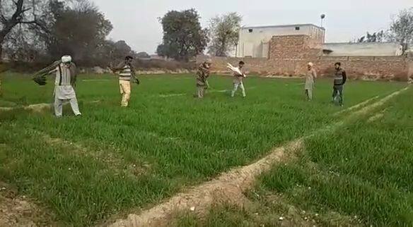 ਪੰਜਾਬ ਦੇ ਮੁਕਤਸਰ ਜ਼ਿਲ੍ਹੇ ਤੋਂ ਬਾਅਦ ਹਰਿਆਣਾ ਸਰਹੱਦ ਨਾਲ ਲੱਗਦੇ ਬਠਿੰਡਾ ਦੇ ਕਈ ਪਿੰਡਾ 'ਚ ਟਿੱਡੀ ਦਲ ਦਾ ਹਮਲਾ ਹੋਇਆ ਜਿਸ ਨੇ ਕਿਸਾਨਾਂ ਦੀਆਂ ਫਸਲਾਂ ਨੂੰ ਤਬਾਹ ਕਰਨਾ ਸ਼ੁਰੂ ਕਰ ਦਿੱਤਾ।