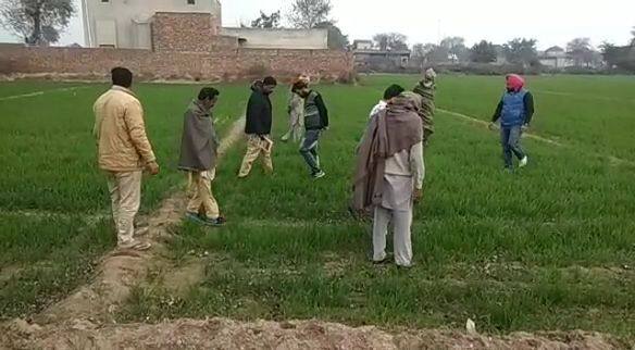 ਗੁਆਢੀ ਮੁਲਕ ਤੋਂ ਟਿੱਡੀ ਦਲ ਦਾ ਹਮਲਾ, ਕਿਸਾਨਾਂ ਦੀ ਫਸਲ ਖ਼ਰਾਬ