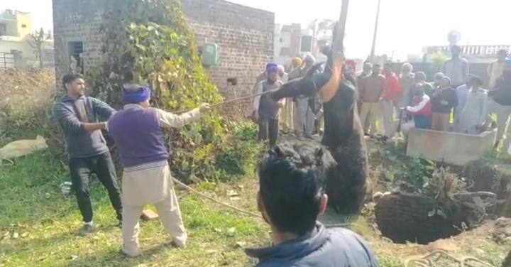 ਦੱਸ ਦਈਏ ਕਿ ਭਾਰਤੀ ਕਿਸਾਨ ਯੂਨੀਅਨ ਲੱਖੋਵਾਲ ਵੱਲੋਂ 6 ਫਰਵਰੀ ਨੂੰ ਜ਼ਿਲ੍ਹੇ ਭਰ ਦੇ ਅਵਾਰਾ ਨੂੰ ਟਰਾਲੀਆਂ 'ਚ ਲੱਦ ਕੇ ਲੁਧਿਆਣਾ ਵਿੱਚ ਜ਼ਿਲ੍ਹਾ ਪ੍ਰਸ਼ਾਸਨ ਨੂੰ ਸੌਂਪਣ ਦੀ ਰੂਪ ਰੇਖਾ ਐਲਾਨੀ ਹੈ।