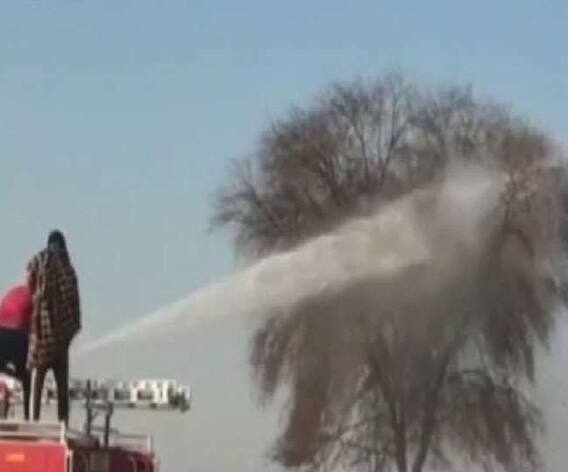 ਹੁਣ ਪੰਜਾਬ 'ਤੇ ਟਿੱਡੀ ਦਲ ਦਾ ਹਮਲਾ, ਹਜ਼ਾਰਾਂ ਏਕੜ ਫਸਲ ਤਬਾਹ