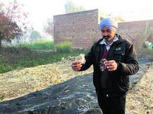 ਲਓ ਜੀ ਹੁਣ ਮਾਨਸਾ 'ਚ ਬਰਫਬਾਰੀ!