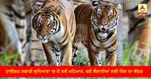 ਟਾਈਗਰ ਸਫਾਰੀ ਲੁਧਿਆਣਾ 'ਚ ਦੋ ਨਵੇਂ ਮਹਿਮਾਨ, ਬਣੇ ਸੈਲਾਨੀਆਂ ਲਈ ਖਿੱਚ ਦਾ ਕੇਂਦਰ
