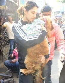 ਦਿਸ਼ਾ ਪਟਾਨੀ ਦੀਆਂ ਆਪਣੇ ਕੁੱਤੇ ਨਾਲ ਇਹ ਤਸਵੀਰਾਂ ਵਾਇਰਲ