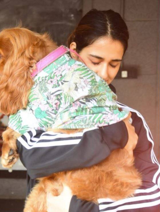 ਇਸ ਫ਼ਿਲਮ ਵਿੱਚ ਦਿਸ਼ਾ ਦੇ ਨਾਲ ਅਨਿਲ ਕਪੂਰ ਤੇ ਕੁਨਾਲ ਖੇਮੂ ਵੀ ਨਜ਼ਰ ਆਉਣਗੇ।