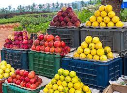 ਹੁਣ ਕਿਸਾਨ ਨੇ ਸ਼ੁਰੂ ਕੀਤੀ 'ਕੁਦਰਤੀ ਕਿਸਾਨ ਹੱਟ', ਇੰਜ ਕਰਦੇ ਨੇ ਲੋਕਾਂ ਨੂੰ ਖੁਸ਼