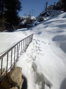 ਪ੍ਰਾਇਮਰੀ ਸਕੂਲਾਂ 'ਚ 1 ਫੁੱਟ ਬਰਫ, 64 ਦੀਨਾਂ ਦੀ ਛੁੱਟੀ ਤੋਂ ਬਾਅਦ ਸ਼ੁਰੂ ਹੋਈ ਪੜਾਈ