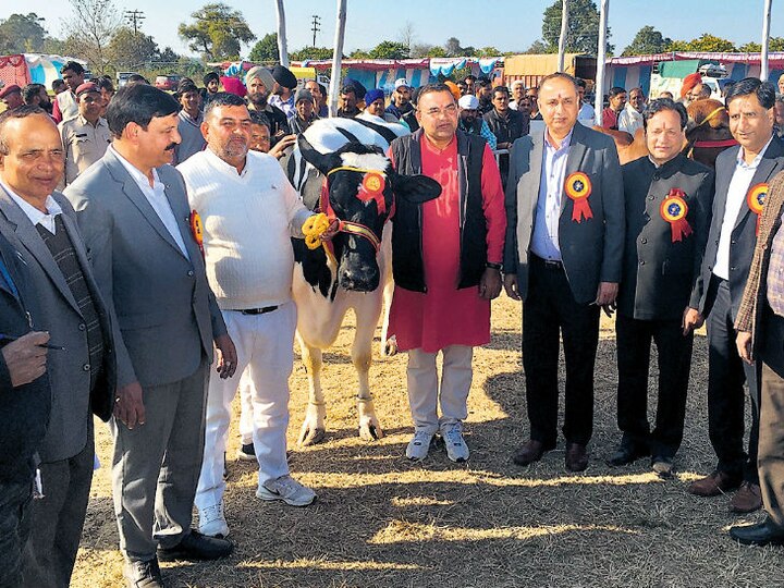 This cow smash milk-yield record  53 ਲੀਟਰ ਦੁੱਧ ਦੇਣ ਵਾਲੀ ਗਾਂ ਦੀ ਕੀਮਤ 51 ਲੱਖ ਰੁਪਏ, ਹਰਿਆਣੇ ਦੇ ਕਿਸਾਨ ਨੂੰ ਕੀਤਾ ਮਾਲੋਮਾਲ