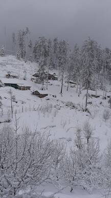 ਪਹਾੜਾਂ 'ਚ ਫੇਰ ਹੋਈ ਬਰਫਬਾਰੀ, ਮੌਸਮ ਵਿਭਾਗ ਵੱਲੋਂ ਯੈਲੋ ਅਲਰਟ ਜਾਰੀ