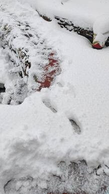 ਪਹਾੜਾਂ 'ਚ ਫੇਰ ਹੋਈ ਬਰਫਬਾਰੀ, ਮੌਸਮ ਵਿਭਾਗ ਵੱਲੋਂ ਯੈਲੋ ਅਲਰਟ ਜਾਰੀ