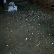 ਬਠਿੰਡਾ 'ਚ ਬਾਰਸ਼ ਅਤੇ ਗੜ੍ਹੇਮਾਰੀ ਨਾਲ ਮੌਸਮ ਹੋਇਆ ਠੰਢਾ, ਆਉਣ ਵਾਲੇ ਦਿਨਾਂ 'ਚ ਬਾਰਸ਼ ਦੀ ਉਮੀਦ