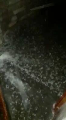 ਬਠਿੰਡਾ 'ਚ ਬਾਰਸ਼ ਅਤੇ ਗੜ੍ਹੇਮਾਰੀ ਨਾਲ ਮੌਸਮ ਹੋਇਆ ਠੰਢਾ, ਆਉਣ ਵਾਲੇ ਦਿਨਾਂ 'ਚ ਬਾਰਸ਼ ਦੀ ਉਮੀਦ