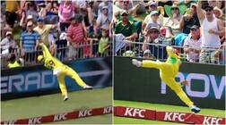 ਸਟੀਵ ਸਮਿਥ ਨੇ 'ਸੂਪਰਮੈਨ' ਬਣ ਕੀਤੀ ਫੀਲਡਿੰਗ, ਹੁਣ ਹੋ ਰਹੀ ਖੂਬ ਚਰਚਾ, ਵੇਖੋ ਵੀਡੀਓ