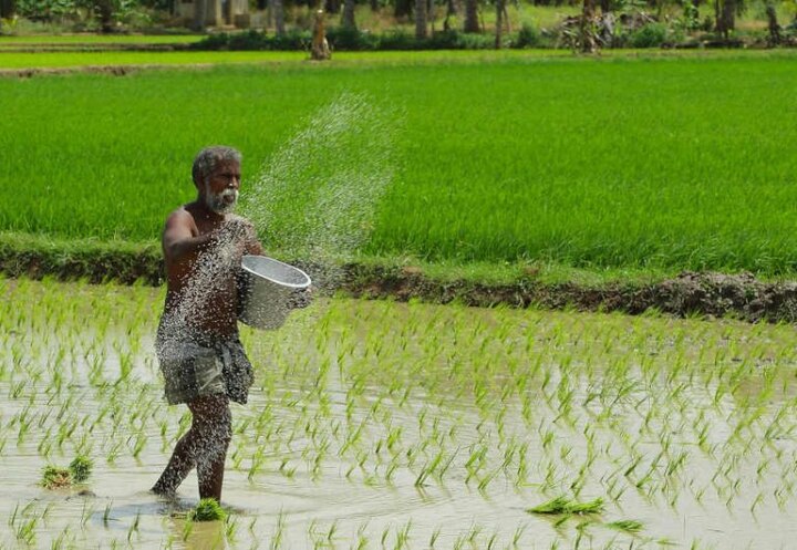 advantage of colored soil test chemical fertilizer use decreased yield increased ਪੰਜਾਬ ਦੀ ਕਿਸਾਨਾਂ ਨੂੰ ਹੁਣ ਆਈ ਸਮਝ, ਦਹਾਕੇ 'ਚ ਵੱਡੀ ਤਬਦੀਲੀ