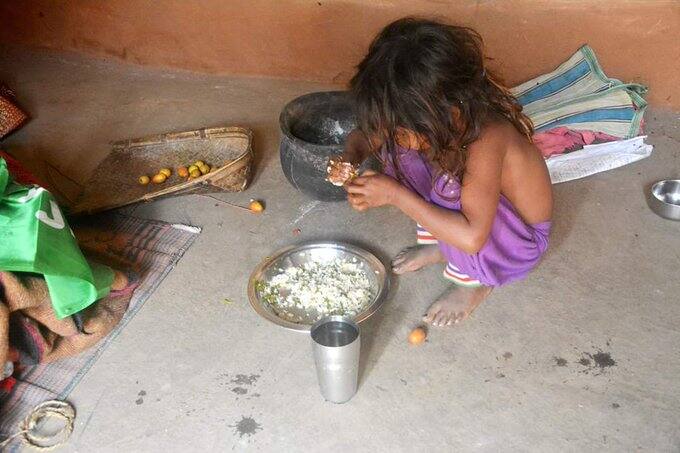 ਸੋਸ਼ਲ ਮੀਡੀਆ 'ਤੇ ਬੱਚੀ ਦੀ ਤਸਵੀਰ ਨੇ ਵਿਖਾਈ ਭਾਰਤ ਦੀ ਅਸਲੀਅਤ, ਬੁਰੀ ਤਰ੍ਹਾਂ ਭੜਕੇ ਮੁੱਖ ਮੰਤਰੀ Chief Minister Hemant agitated after watching the girl boil cabbage leaves on Twitter ਸੋਸ਼ਲ ਮੀਡੀਆ 'ਤੇ ਬੱਚੀ ਦੀ ਤਸਵੀਰ ਨੇ ਵਿਖਾਈ ਭਾਰਤ ਦੀ ਅਸਲੀਅਤ, ਬੁਰੀ ਤਰ੍ਹਾਂ ਭੜਕੇ ਮੁੱਖ ਮੰਤਰੀ