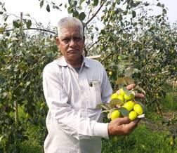 ਅੱਕ ਕੇ ਠੇਕੇ 'ਤੇ ਦਿੱਤੀ ਜ਼ਮੀਨ, ਫਿਰ ਅਚਾਨਕ ਲੱਭਿਆ 16 ਏਕੜ 'ਚੋਂ 45 ਲੱਖ ਕਮਾਉਣ ਦਾ ਢੰਗ