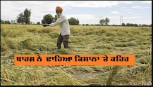 ਕੁਦਰਤ ਨੇ ਫਿਰ ਢਾਹਿਆ ਕਿਸਾਨਾਂ ਤੇ ਕਹਿਰ, ਜਾਣੋ ਕਿੱਥੇ ਹੋਇਆ ਕਿੰਨਾ ਨੁਕਸਾਨ