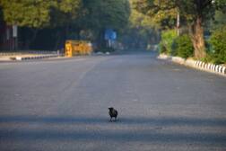 ਕੋਰੋਨਾਵਾਇਰਸ ਦੇ ਕਹਿਰ 'ਚ ਪੰਜਾਬੀਆਂ ਲਈ ਚੰਗੀ ਖ਼ਬਰ!