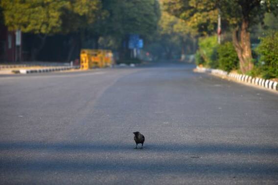 ਕੋਰੋਨਾਵਾਇਰਸ ਦੇ ਕਹਿਰ 'ਚ ਪੰਜਾਬੀਆਂ ਲਈ ਚੰਗੀ ਖ਼ਬਰ!